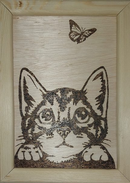 Коте и пеперуда